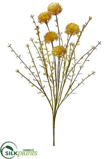 Allium Spray - Mustard - Pack of 12