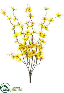 Mini Dogwood Bush - Mustard - Pack of 12