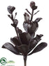 Silk Plants Direct Echeveria - Burgundy Dark - Pack of 12