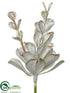 Silk Plants Direct Echeveria - Green Gray - Pack of 12