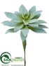 Silk Plants Direct Echeveria Pick - Green Gray - Pack of 6
