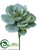 Echeveria Pick - Green Gray - Pack of 6