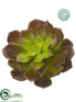 Silk Plants Direct Echeveria - Burgundy Green - Pack of 12