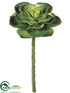 Silk Plants Direct Echeveria Pick - Green - Pack of 24