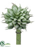 Silk Plants Direct Echeveria Pick - Green Gray - Pack of 24