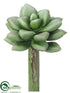 Silk Plants Direct Echeveria Pick - Green Gray - Pack of 24