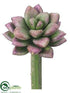 Silk Plants Direct Echeveria Pick - Green Mauve - Pack of 24