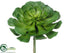 Silk Plants Direct Echeveria Pick - Green - Pack of 6