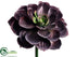 Silk Plants Direct Echeveria - Purple Green - Pack of 12