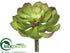 Silk Plants Direct Echeveria Pick - Burgundy Green - Pack of 12