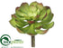 Silk Plants Direct Echeveria Pick - Burgundy Green - Pack of 12