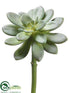 Silk Plants Direct Echeveria - Green - Pack of 12