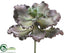 Silk Plants Direct Curly Echeveria - Purple Green - Pack of 6