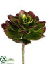 Silk Plants Direct Echeveria Pick - Green Burgundy - Pack of 12