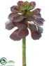 Silk Plants Direct Echeveria Pick - Burgundy - Pack of 12