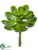Silk Plants Direct Echeveria Pick - Green - Pack of 12
