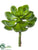 Silk Plants Direct Echeveria Pick - Green - Pack of 12