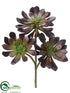 Silk Plants Direct Echeveria - Burgundy - Pack of 2