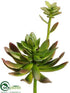 Silk Plants Direct Echeveria Plant - Green - Pack of 6