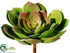 Silk Plants Direct Echeveria Pick - Green Burgundy - Pack of 6