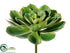 Silk Plants Direct Echeveria Pick - Green Two Tone - Pack of 6