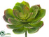 Silk Plants Direct Echeveria Pick - Green Mauve - Pack of 12