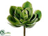 Silk Plants Direct Echeveria Pick - Green Two Tone - Pack of 12