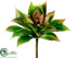 Silk Plants Direct Echeveria Pick - Green Fuchsia - Pack of 12