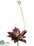 Silk Plants Direct Flowering Echeveria Pick - Burgundy Green - Pack of 12