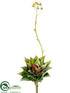 Silk Plants Direct Flowering Echeveria Pick - Green Burgundy - Pack of 12