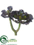 Silk Plants Direct Echeveria Pick - Burgundy - Pack of 12