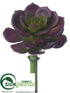 Silk Plants Direct Echeveria Pick - Burgundy Green - Pack of 24