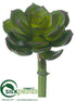 Silk Plants Direct Echeveria Pick - Green Plum - Pack of 24
