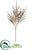 Dried Wild Wheat Spray - Beige - Pack of 6