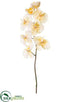 Silk Plants Direct Phalaenopsis Orchid Spray - Beige - Pack of 12