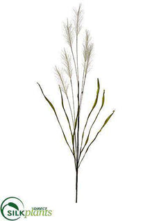 Pampas Grass Spray - Beige - Pack of 12