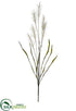 Silk Plants Direct Pampas Grass Spray - Beige - Pack of 12