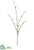 Pussy Willow Spary - Beige - Pack of 24