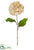 Hydrangea Spray - Beige - Pack of 12