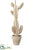 Peruvian Cactus Table Top, Ornament - Natural Beige - Pack of 2