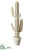 Saguaro Cactus Table Top - Natural Beige - Pack of 2