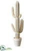 Silk Plants Direct Saguaro Cactus Table Top - Natural Beige - Pack of 2
