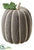 Knit Pumpkin Taupe - Topez Beige - Pack of 1