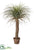 Desert Palm Tree - Green Beige - Pack of 2