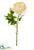 Peony Spray With Bud - Cream - Pack of 12