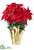 Majestic Velvet Poinsettia Bush With Gold Foil Paper - Red - Pack of 6