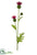 Thistle Spray - Red - Pack of 12
