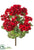 Geranium Bush - Red - Pack of 12