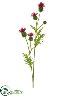 Thistle Spray - Red - Pack of 12