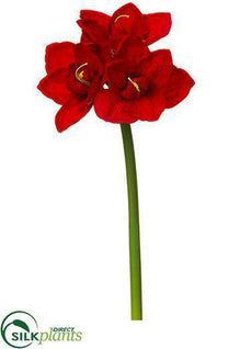 Amaryllis Spray - Red - Pack of 12